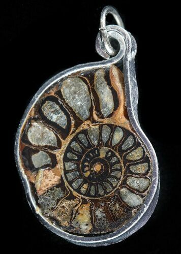 Moroccan Ammonite Fossil Pendant #58365